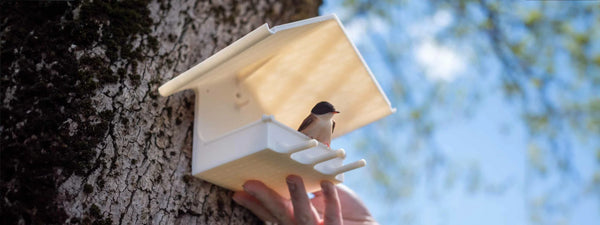 ASA (Acrylonitrile Styrene Acrylate)